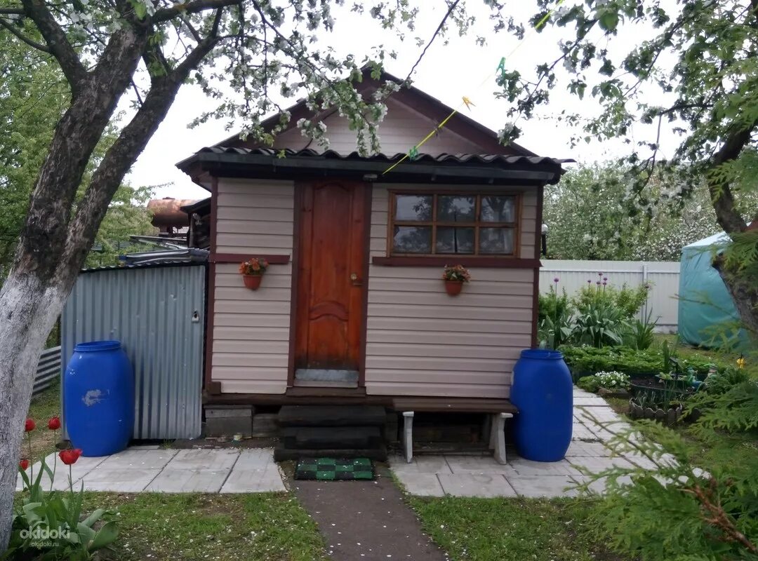 Купавна снт дача. Снт купавна. снт гспи-10 купавна. снт биолог купавна. снт купавна вос.