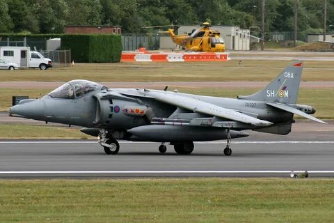 Harrier's