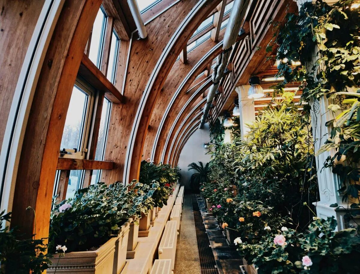 ботанический сад мгу им. москва ботанический сад мгу аптекарский огород. ломоносова «аптекарский огород». ботанический сад аптекарский огород. москва ботанический сад мгу аптекарский огород.