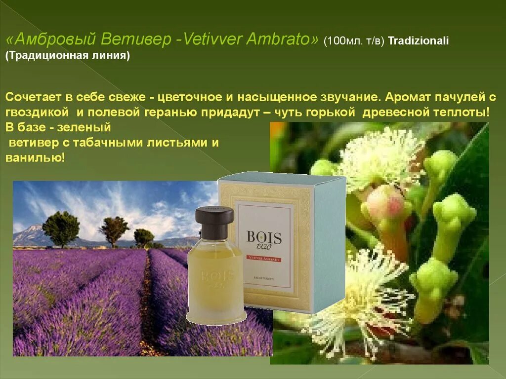 Vetiver перевод