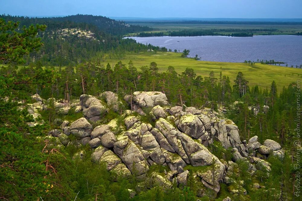 Река поной мурманской области. Зоологический заказник "Понойский". Река паной Кольский полуостров. Паной Мурманск река.