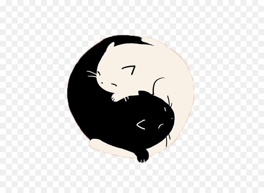 Котик инь. Коты инь янь. инь янь в виде котов. инь янь из котов. коты инь и янь картина.