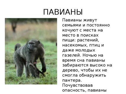 Сообщение 4 буквы