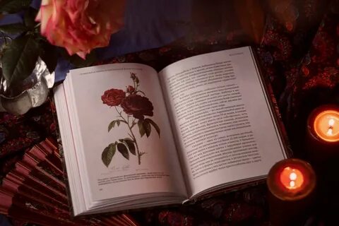 Книга тайная жизнь растений