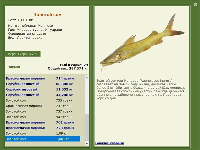 желтощек реальная рыбалка