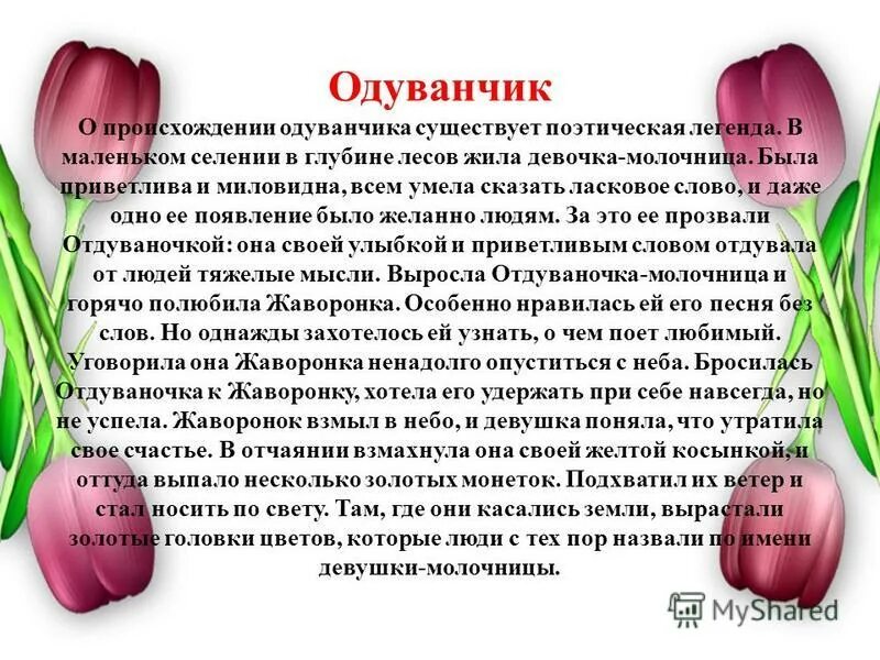 Легенды о цветах. Названия растений в честь известных людей. Растения названные в честь известных людей. Имена связанные с цветами.