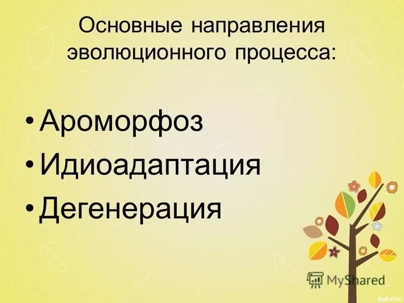 Определите по рисунку направления эволюции