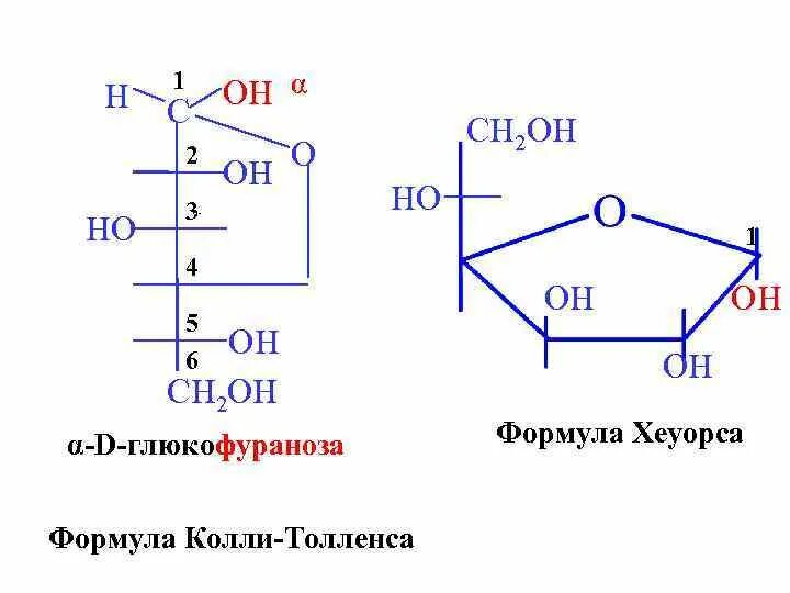 Формула колли Толленса Глюкоза. Фруктоза формула Хеуорса. Формулы Фишера колли-Толленса и Хеуорса. D-манноза формула колли-Толленса. Фруктоза циклическая