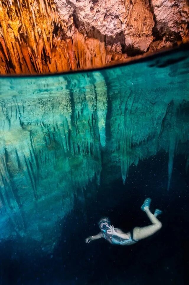 Фобии у людей презентация. Фобия еды как называется. Фобии у людей презентация. Цветок лотоса трипофобия цветет. Семена лотоса трипофобия.