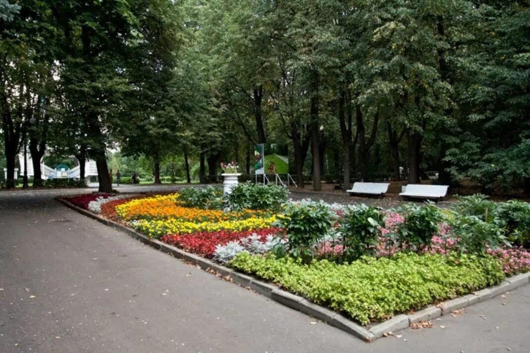 измайлово весной. цветы измайлово. цветы измайлово. парк измайлово яблони. сокольники парк дворец.