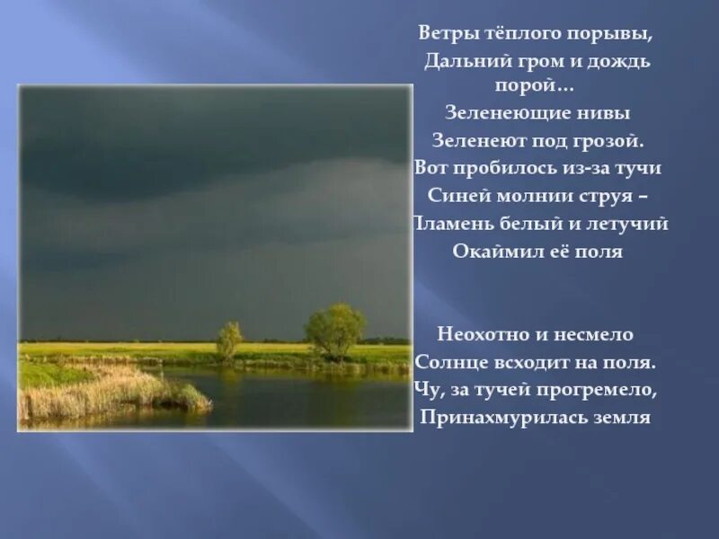 Зеленеющие нивы это метафора. Ветра теплого порывы дальний гром и дождь порой. тютчев зеленеющие нивы. зеленеющие нивы зеленее под грозой. ветра теплого порывы.