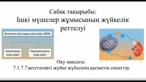 Табиғаттағы жастардың порносы