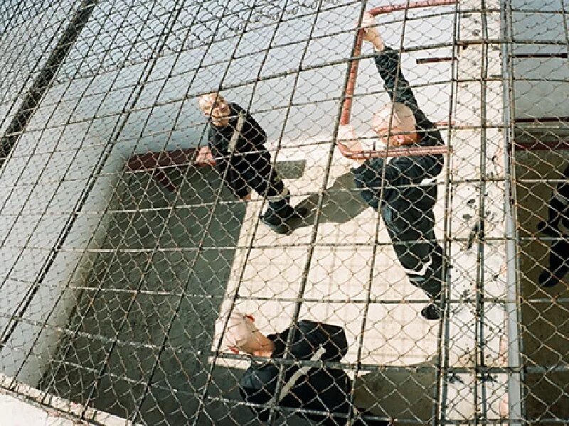 нурпаша кулаев полярная сова. где сидит осужденный. где сидит осужденный. исправительная колония 6 чёрный дельфин. исправительной колонии особого режима «полярная сова».