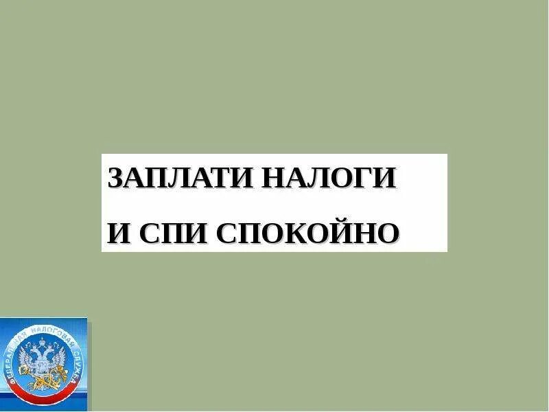 Заплатил налоги и сплю спокойно. Плати налоги и спи спокойно. Заплати налоги и спи. Заплати налоги и спи спокойно реклама. Налоги спать спокойно