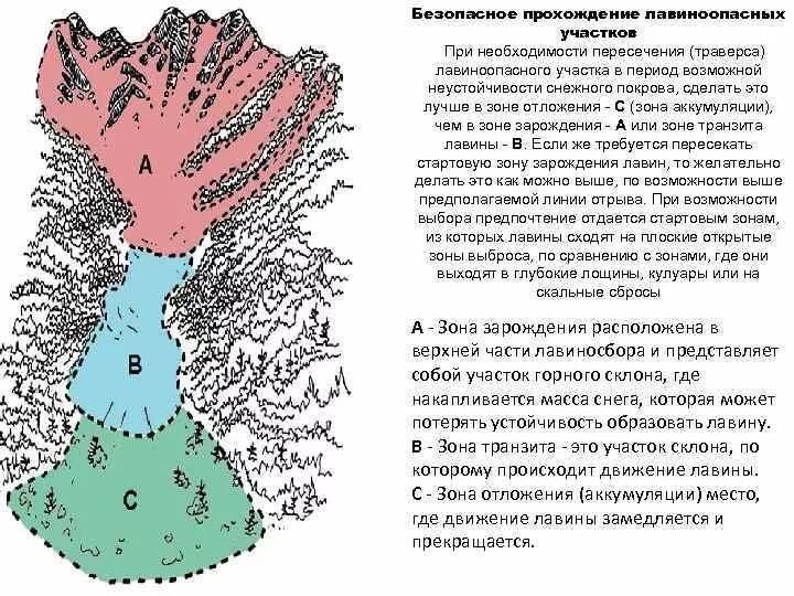 Сход лавин схема. Снежная лавина схема. Зоны лавины. Типы лавин. Схема строения лавины.