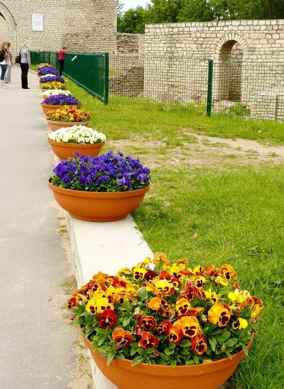 Красивые клумбы. Клумба с аркой. Проекты цветников. 5;5 м. На двух клумбах.