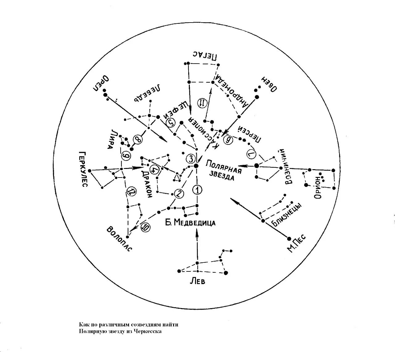 Карта звёздного неба созвездия Полярная звезда. Схема взаимного расположения созвездий и ярких звезд. Подвижная карта звездного неба большая Медведица. Полярная звезда на подвижной карте звездного неба. Местоположения звезд