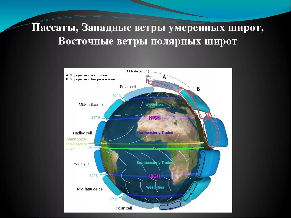 Какие ветры пассаты. Пассаты в Южном полушарии. Пассаты и западные ветры умеренных широт. Пассаты Муссоны западные ветры. Ветер Западный.