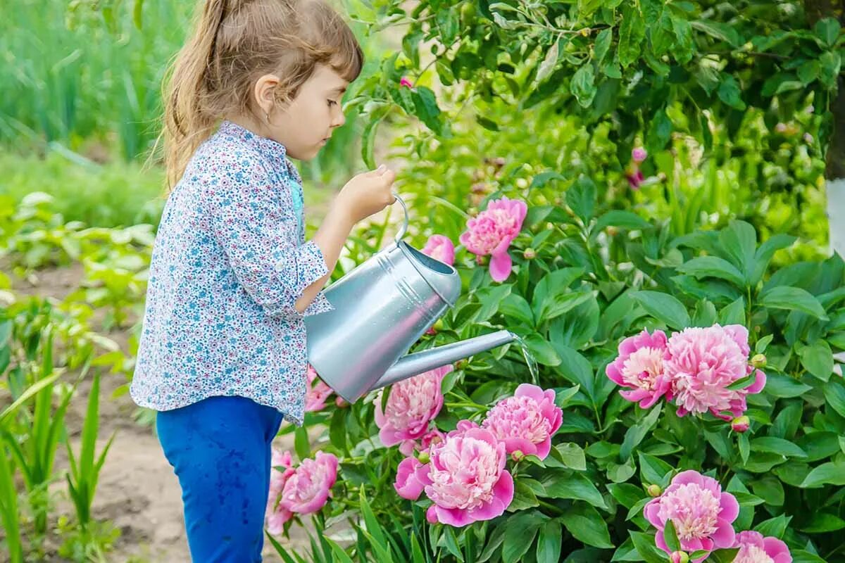 The flowers to water every day. Дети поливают цветы. Полив растений в саду. Поливать цветы в саду. Девушка поливает цветы в саду.