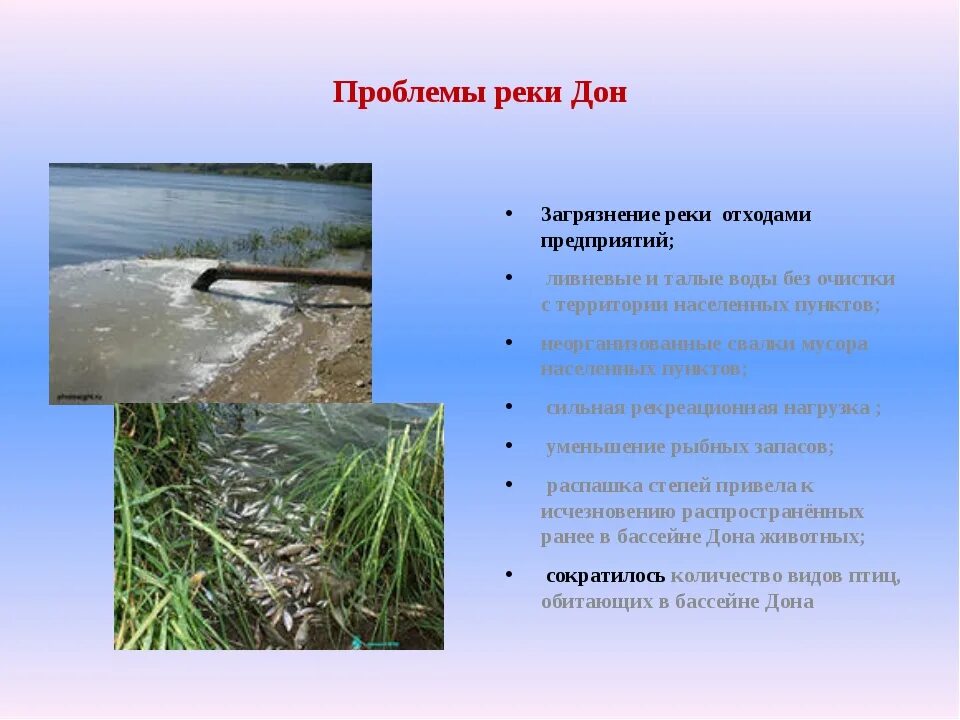 Правила загрязнения воды. Экологические проблемы. Экологические проблемы реки Дон. Загрязнение рек. Пути решения загрязнения рек.