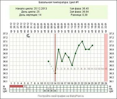 Зачатие при нерегулярном цикле
