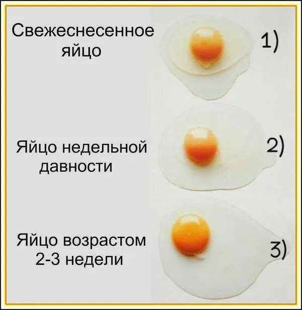Почему всплывает сырое яйцо в холодной. Определить свежесть яиц. Степень свежести яиц. Проверка яиц на свежесть. Определить свежесть куриного яйца.