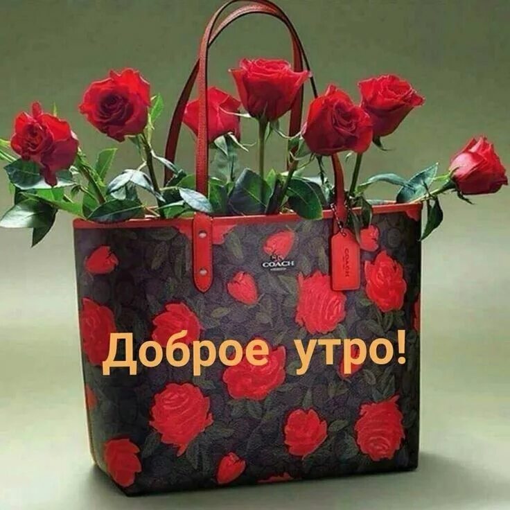 Подарки доброго дня. Хорошего настроения и удачного дня цветы. доброе утро с пожеланиями счастья. цветы в сумочке. доброе утро счастья вам и здоровья.