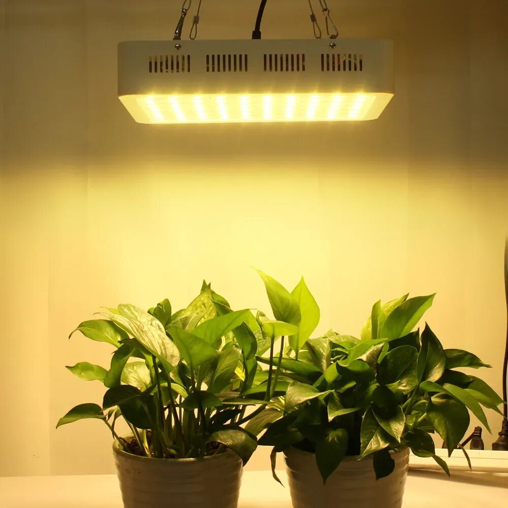Освещение для растений. Фитолампа 300вт. Led 300w для растений. Подсветка для комнатных растений. Освещение для цветов.