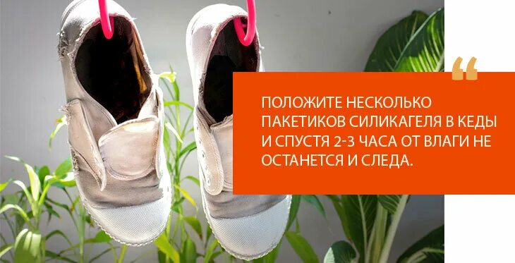Сколько высыхают кроссовки