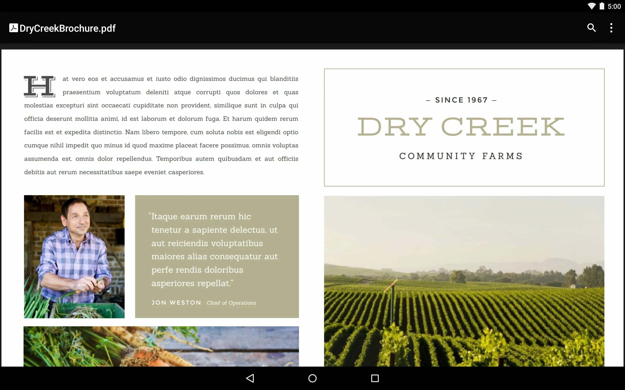 Google pdf viewer. Google пдф. гугл пдф. reiciendis laborum.