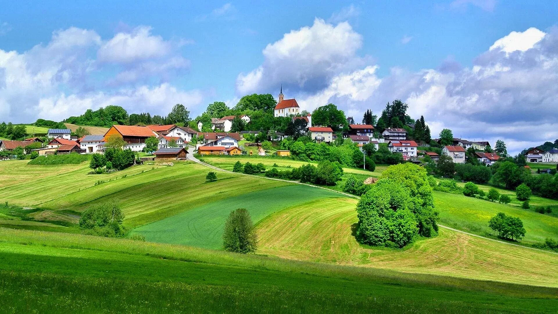 It is beautiful country. Деревни Белоруссии. Поле деревня. Пейзаж сельской местности.