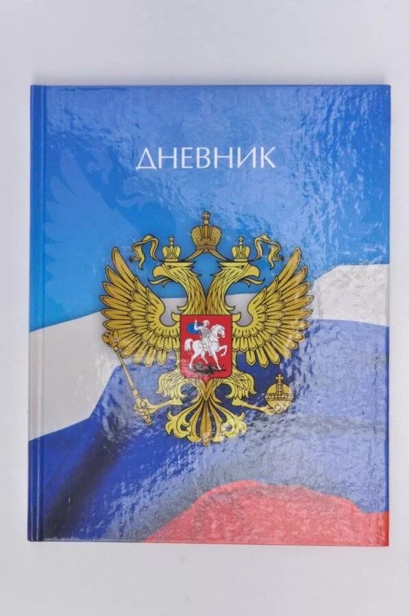 Школьный дневник с 5. Дневник с оценками. Школьные дневники для старших классов. Школьный дневник отличника. Дневник школьника 5-11 класс.