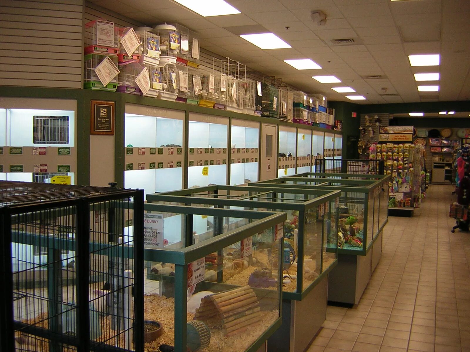 магазин товаров для животных. зоомагазин внутри. магазин животных. красивый интерьер зоомагазина. магазин товаров для животных.