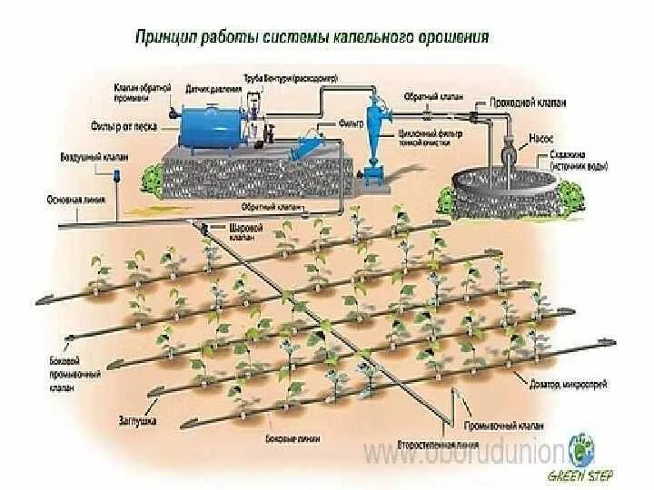 Картофельных полей связь управление. Схема ленточного капельного полива. Основная схема системы капельного орошения. Система капельного орошения схема. Капельное орошение полей схема.