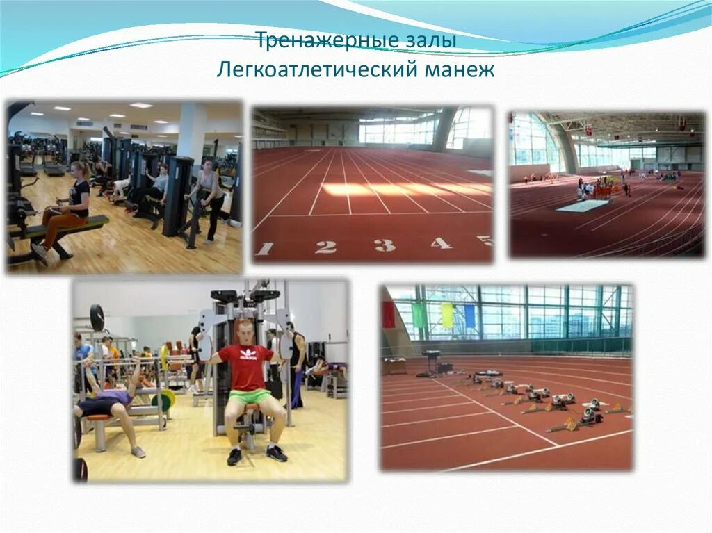 Манеж тренажерный зал. Легкоатлетический манеж трен. спортзал в лёгкоатлетическом манеже. залы по легкой атлетике. манеж центр тренажерный зал.