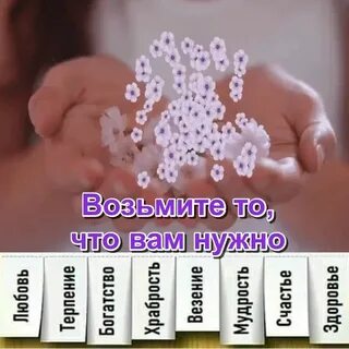 Любовь терпелива и добра