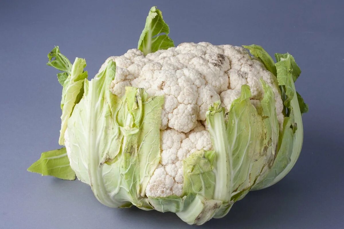 Цветная капуста картинка. Cauliflower. Грин шторм цветная капуста. Цветная капуста Джерес.