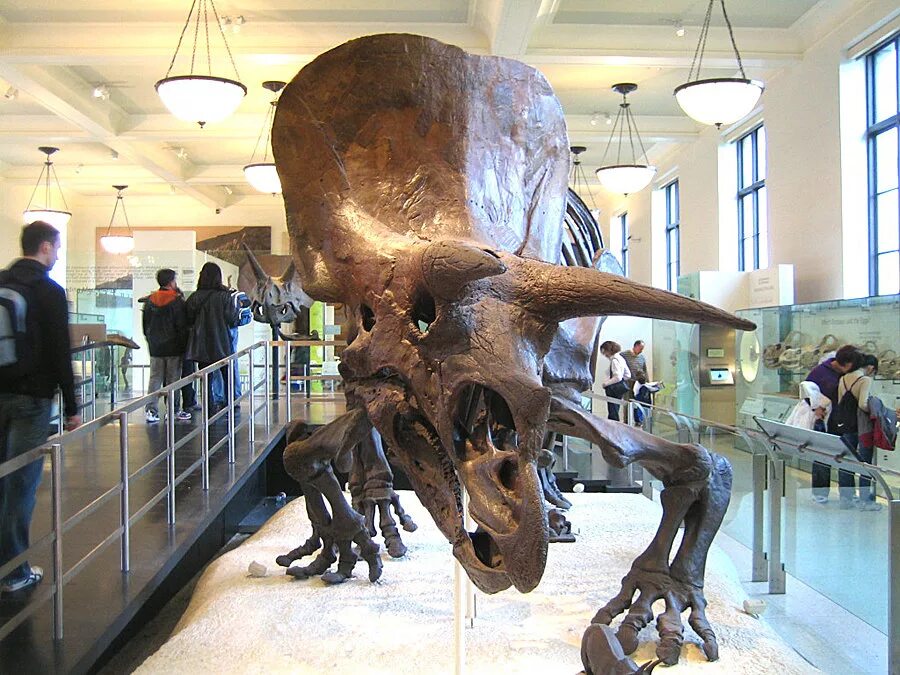 самые крутые музеи