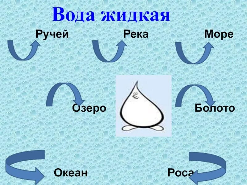 Чем отличается река. Море озеро болото. Река море океан озеро болото. Океан море озеро река ручей. Чем отличается река от озера для детей.