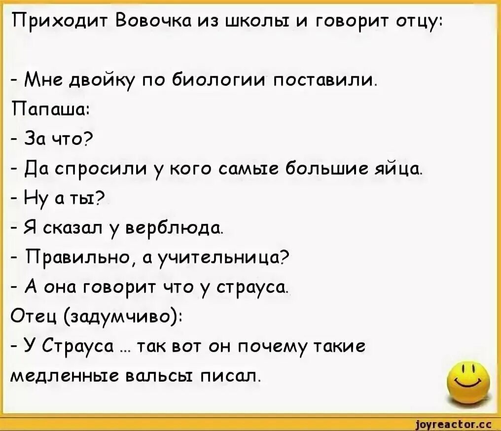 Анекдот. Смешные анекдоты. Анект. Очень смешные анекдоты. Папаша в русском языке