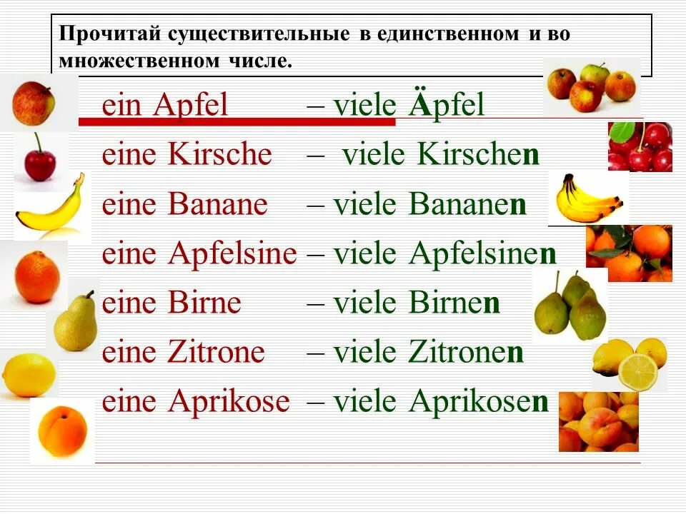 Множественное число существительных в немецком языке. Множественное число в немецком языке. Артикль множественного числа в немецком. Существительное множественного числа в немецком. Имена существительные овощи
