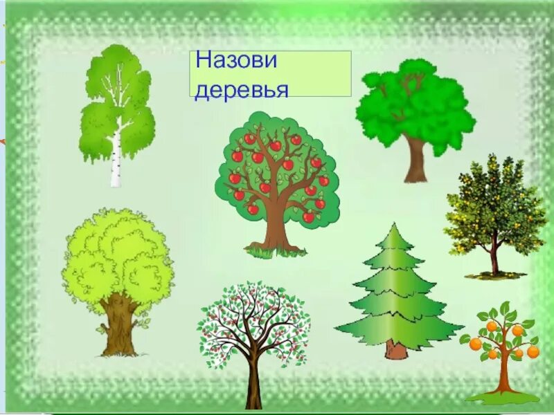 Дерево для ДОУ. Назови деревья. День леса в детском саду. Лес для ДОУ.