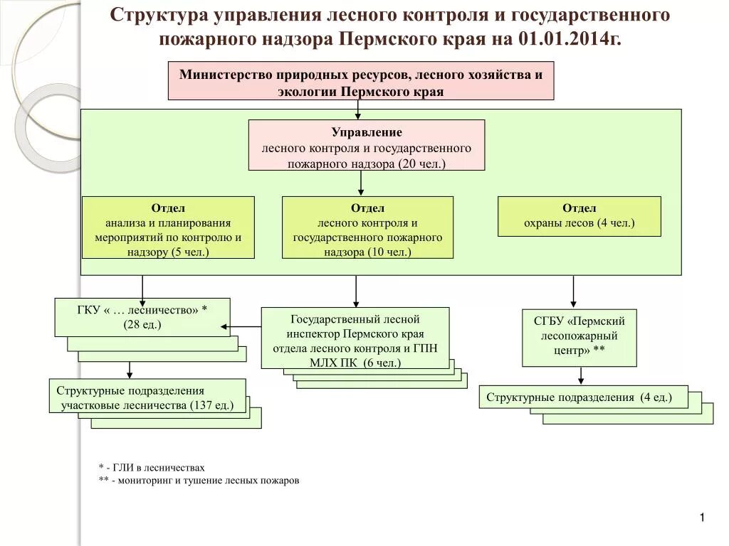 Минприроды департаменты. Структура управления лесами лесничества. Министерство природных ресурсов лесного хозяйства Пермского края. Схему структуры Министерства природных ресурсов и экологии РФ.. Структура Министерства природных ресурсов и экологии Пермского края.