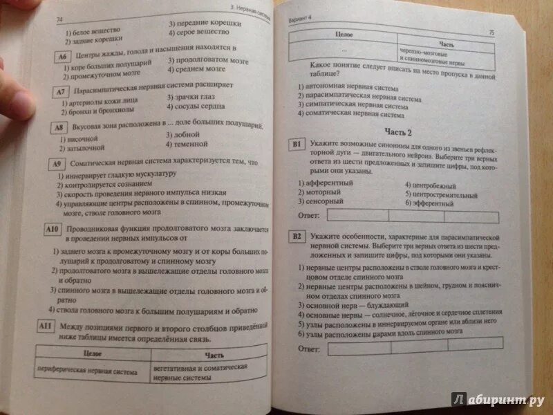 Тренировочный тест егэ. Тренировочный тест егэ