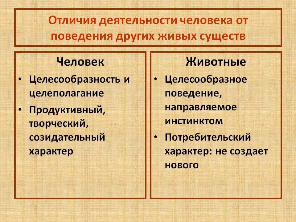 Признаки различия людей. Отличия деятельности человека от поведения животных. Отличие человеческой деятельности от животной. Отличия деятельности человека от активности животного. Отличие человеческой деятельности от животной деятельности.