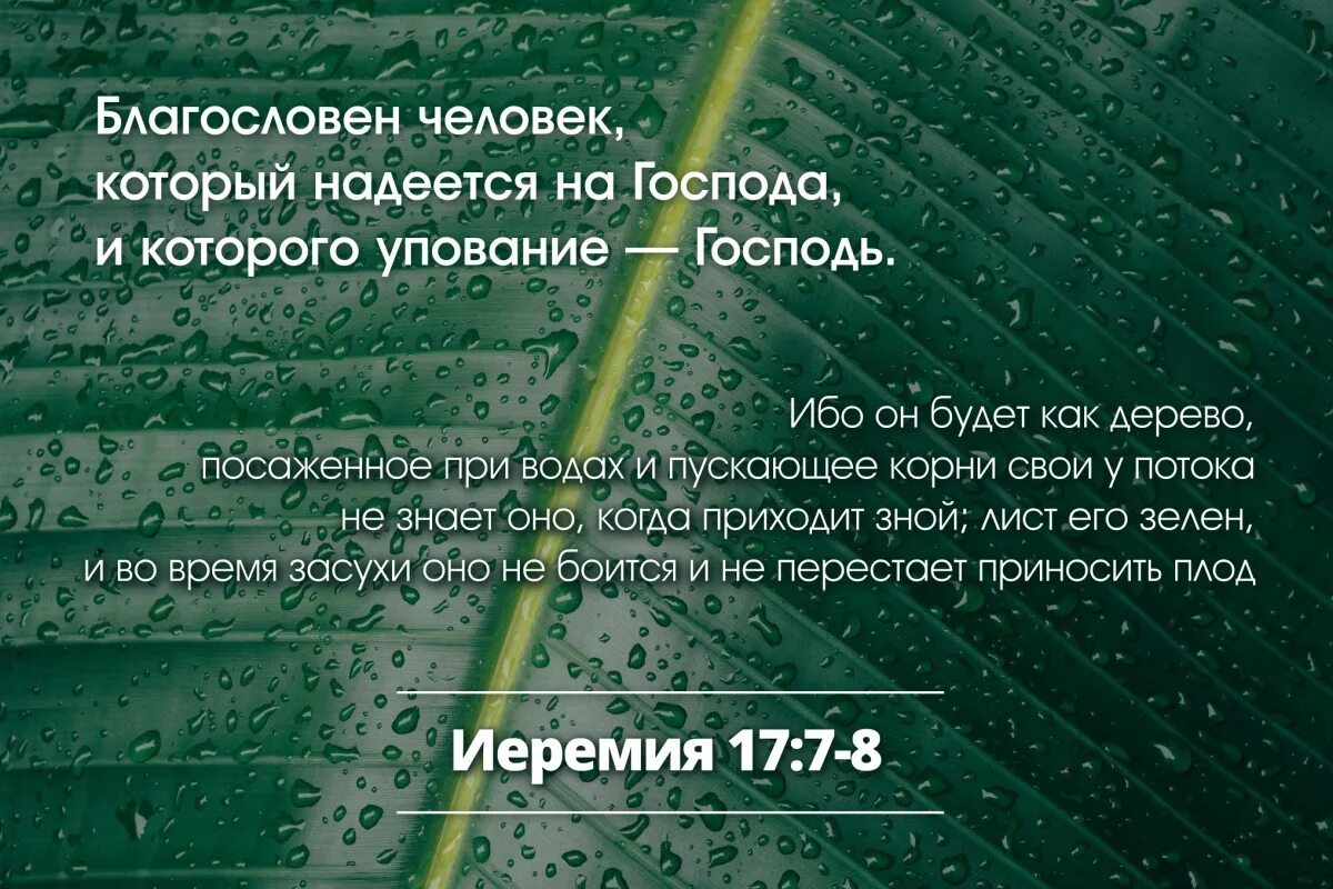 Благословенна русская земля стих. Иеремия 17 глава. Благословен человек который надеется. Иеремия 17 7-8. Блаженны уповающие на Господа.