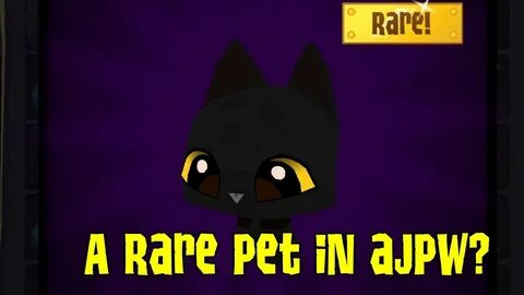 Rare pets