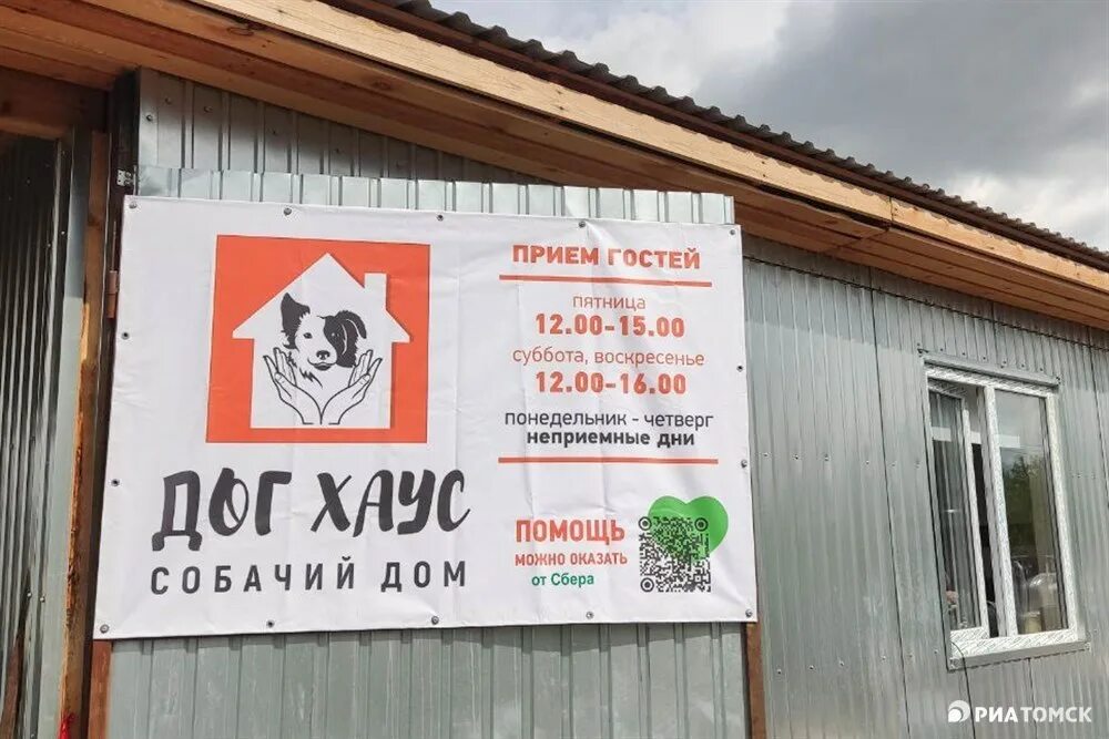 Приют дог хаус томск. Кружки от компаний. Собачий приют в кирове фото собак. Собаки из приюта. Праздник до свидания лето.
