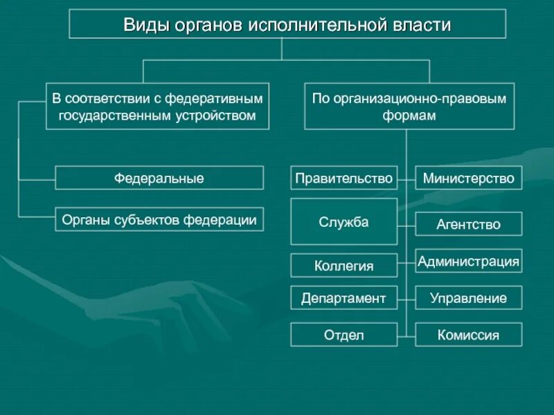 Назовите административные формы