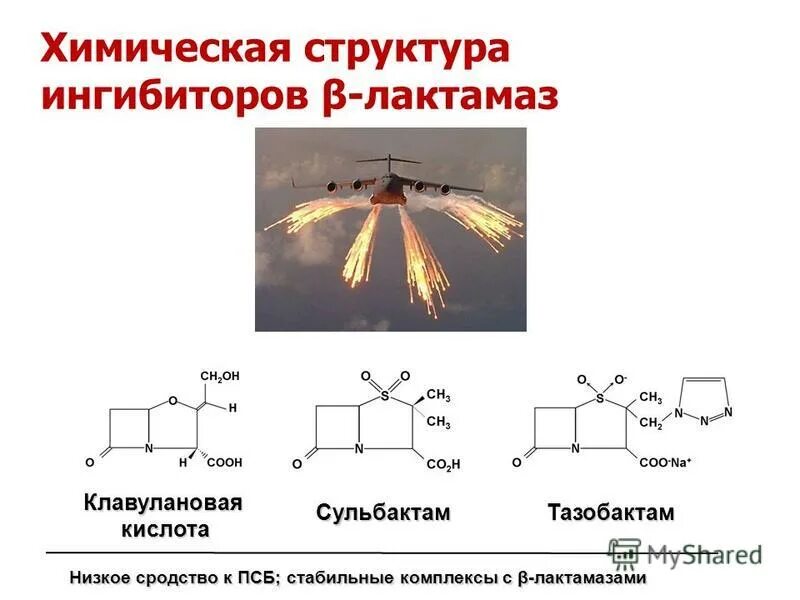 Ингибиторы лактамазы